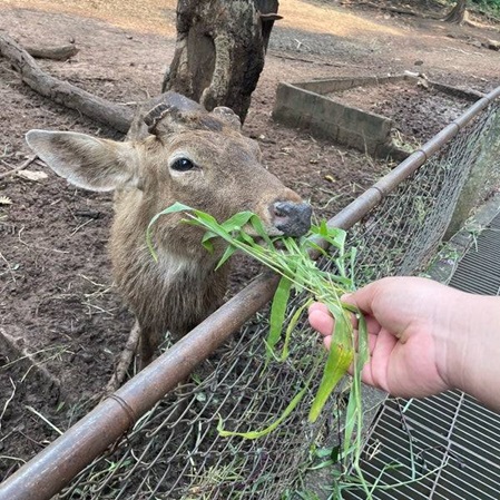 Zoo